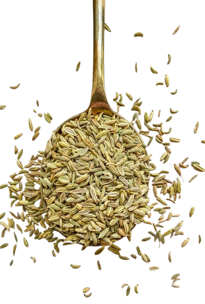 Fennel Seeds