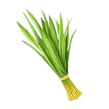 Lemongrass